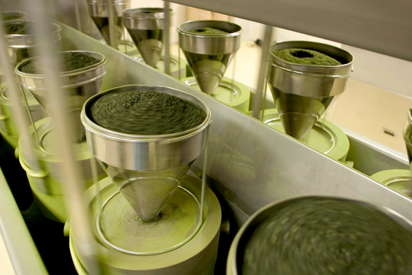 Le Processus de Fabrication du Matcha